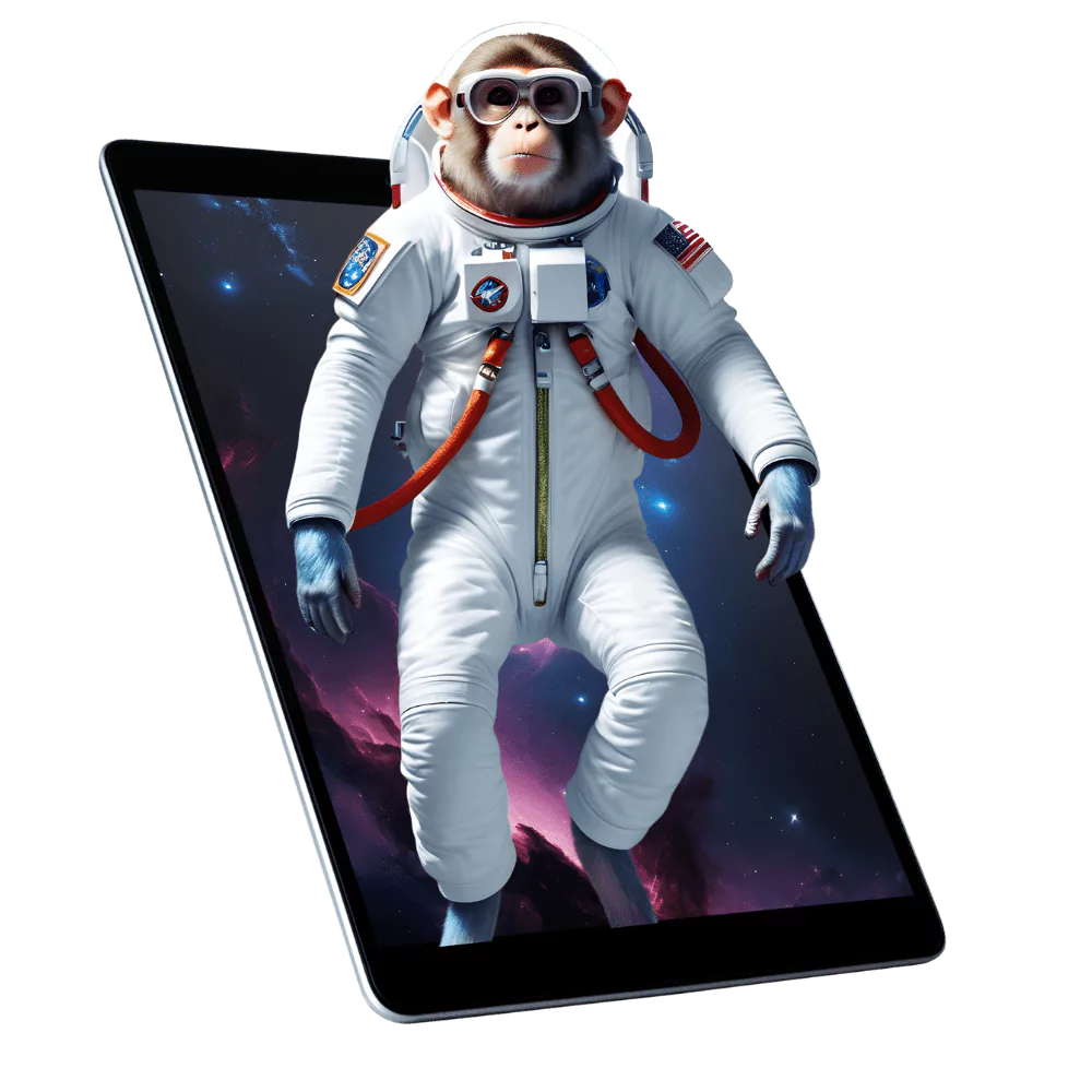 Digital design, creative design & branding [Midnight Monkey]