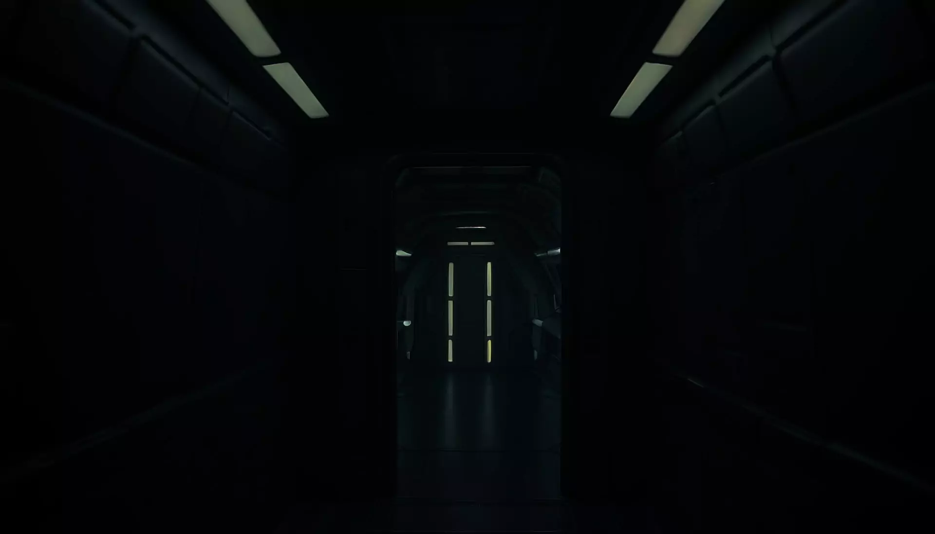 For industry leading 5 star service talk to Midnight Monkey about your Digital Marketing, Google Campaigns, Graphic design and more