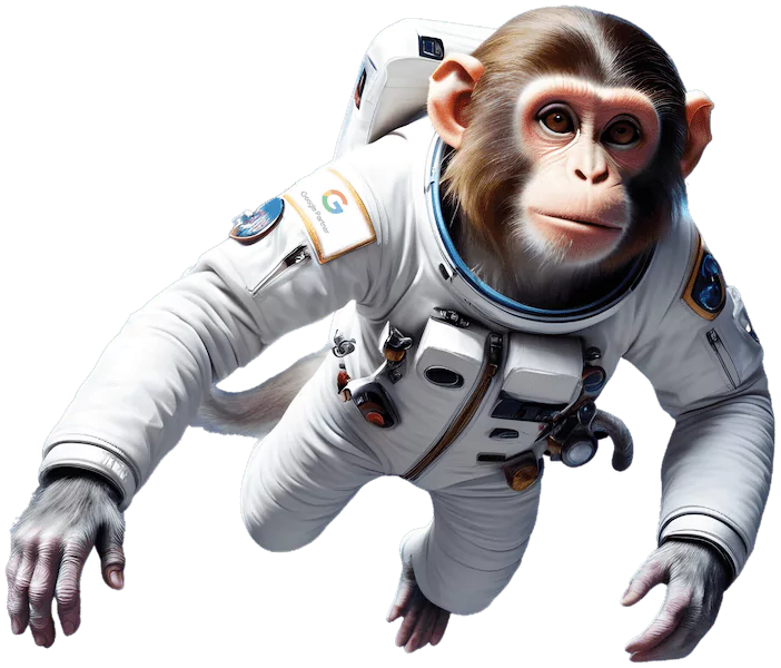 Welcome to Midnight Monkey we are a google partner and google certified which ensure your business receives the best Digital Marketing and Creative Design