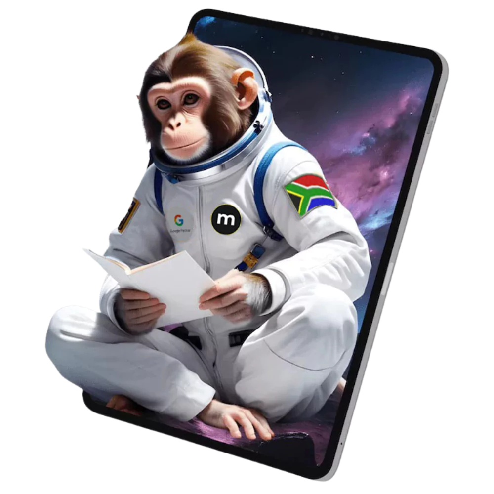 #1 SEO Company Johannesburg: Boost Your Visibility Quickly [Midnight Monkey]