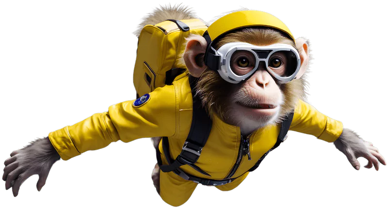 Thank You image, get ready to evolve. Image of a Monkey on Midnight Monkey thank you webpage