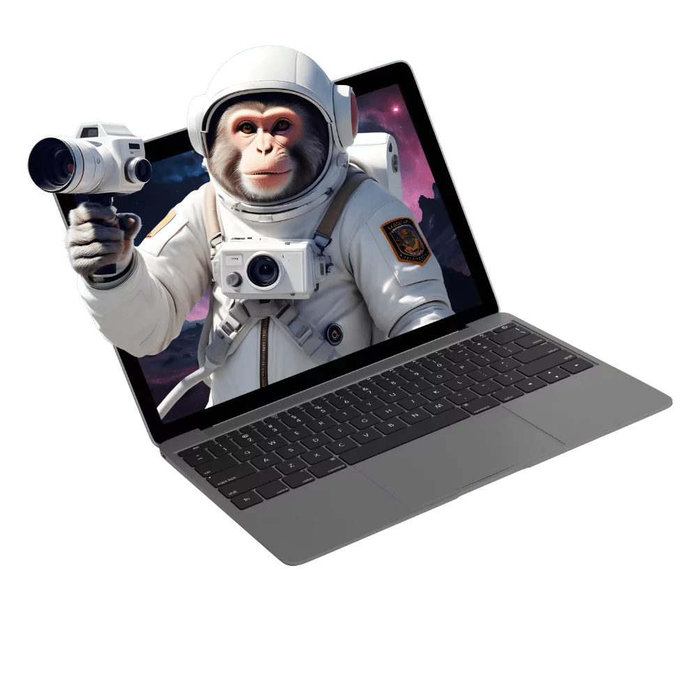 media agency for video creation Joburg [Midnight Monkey] Video Creation